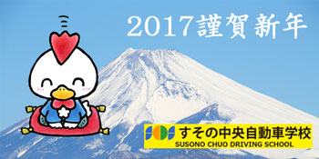 2017newyear