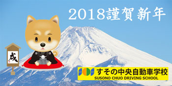 2018newyear